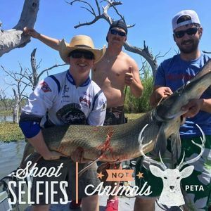 Meet your Posher, Chase